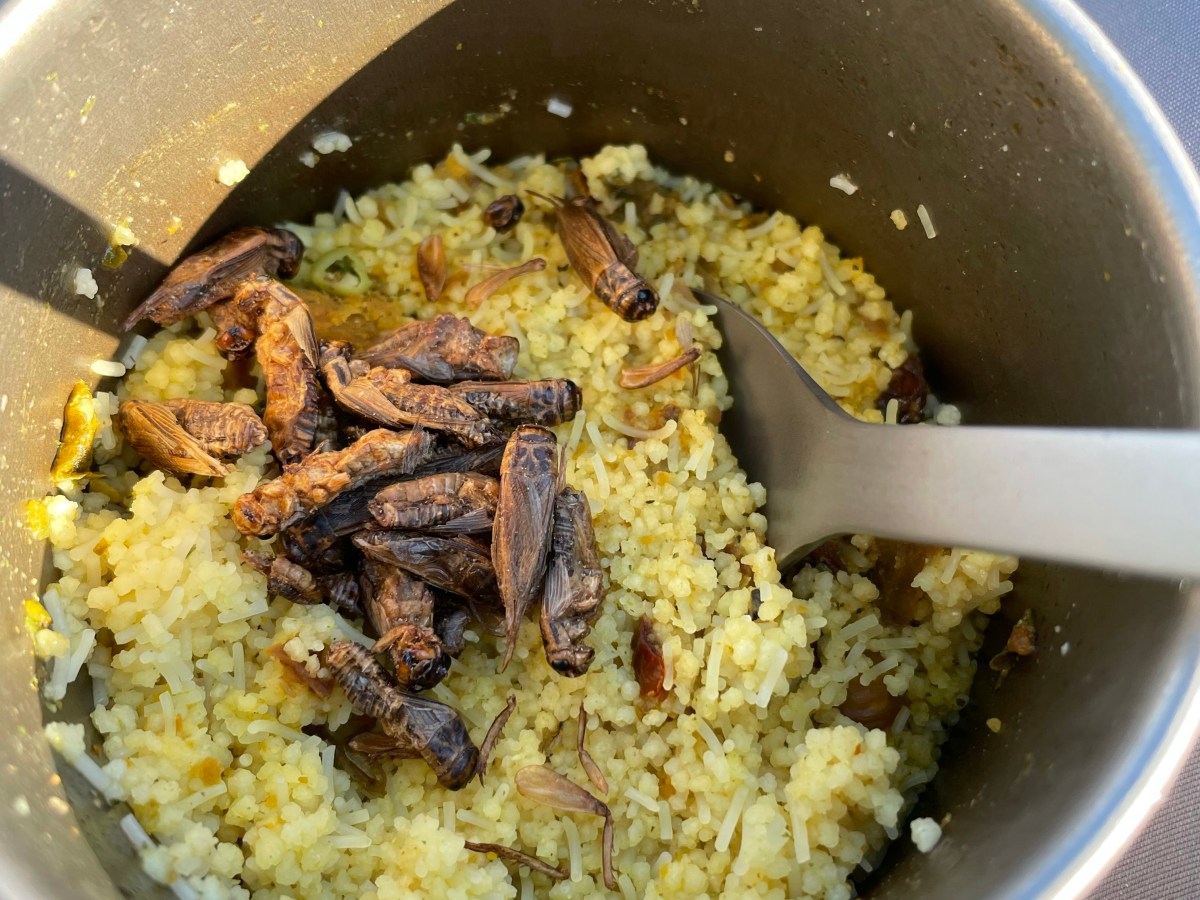 East Coast Trail Pre-Hike&nbsp;1